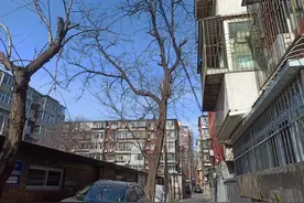 为了买法拍房，我辞去工作当“卧底”图片