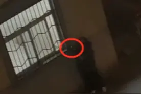 安徽一职校男生晚上偷窥偷拍女寝厕所？回应：系误传，那是洗衣房图片