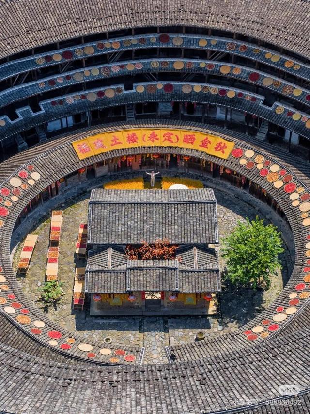 梯田、稻浪、湿地粉黛……在龙岩不必远行，就可“定制”你的手机壁纸~