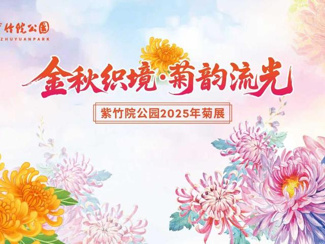 北京号最精彩 | 地铁直达！海淀这里“藏”着一片紫色花海