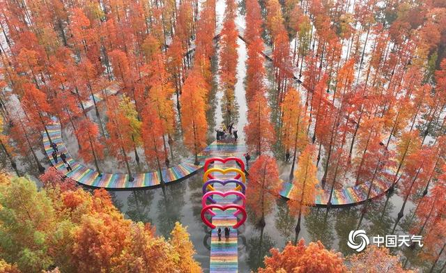 秋到南方 赴一场秋叶的绚烂之约