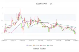 张家界：2024年上半年亏损6116.29万元图片