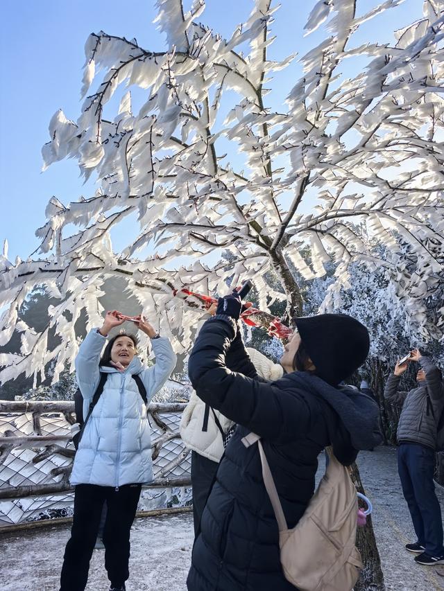 南方人看雪有多拼？“明天有雪”让景区游客翻了20倍|文体视点