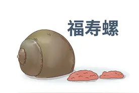 有消费者爆料自购零食配料表惊现福寿螺 福寿螺到底能不能吃？是否建议吃？图片