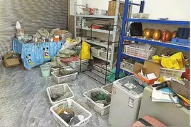 直播间“赌石”套路深 上等原石实为“公斤料”图片