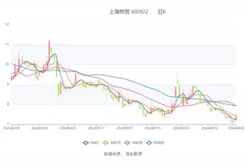 上海物贸：2024年上半年净利润2712.99万元 同比下降82.73%图片