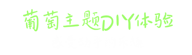 葡萄界的迪士尼！雷音葡萄快闪开幕，这场城市田园采摘狂欢只为你来