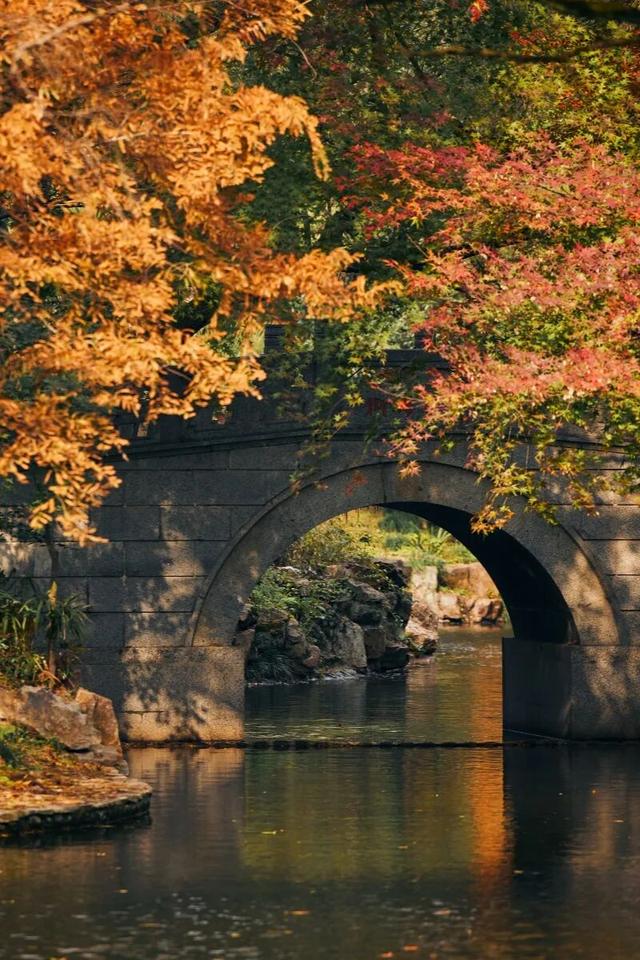 魔都顶流公园免费逛！“莫奈花园”秋色上新→