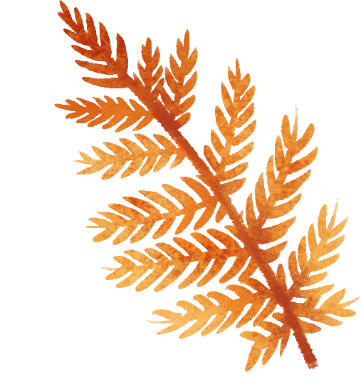 溧水赏秋指南，这周末就出发！