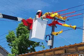 致敬高温下的劳动者丨无惧高温“烤”验 “铁娘子”挥汗坚守保电一线图片