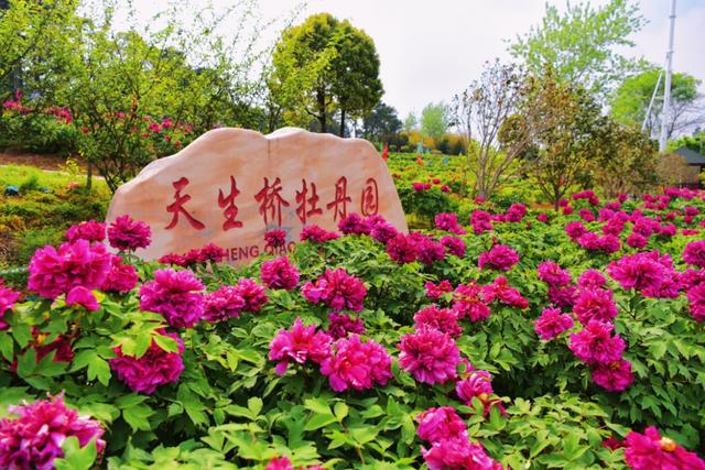 来溧水看“花花世界”