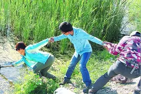 新疆这些中药材家底你知道吗图片