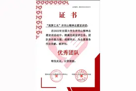 青岛理工大学荣获团中央全国大学生志愿服务活动“优秀团队”图片
