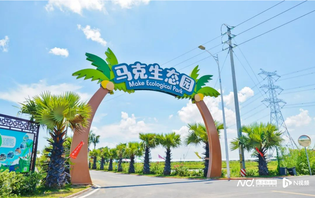 暑期必打卡！收好南沙露营地图，把夏天打包进帐篷里