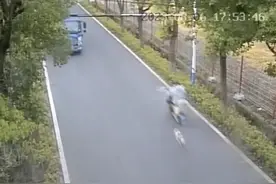 判了！男子骑电动车被狗追赶，撞树当场身亡图片