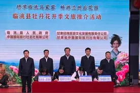 甘肃临洮“美丽经济”：种植紫斑牡丹9000多亩图片