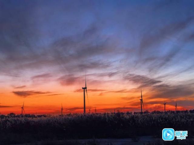 在冬日的潍坊海边，邂逅绝美画卷～