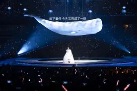 演唱会呈现最佳“飞行”体验 刘若英：唱到80岁你们还会陪我吗？图片