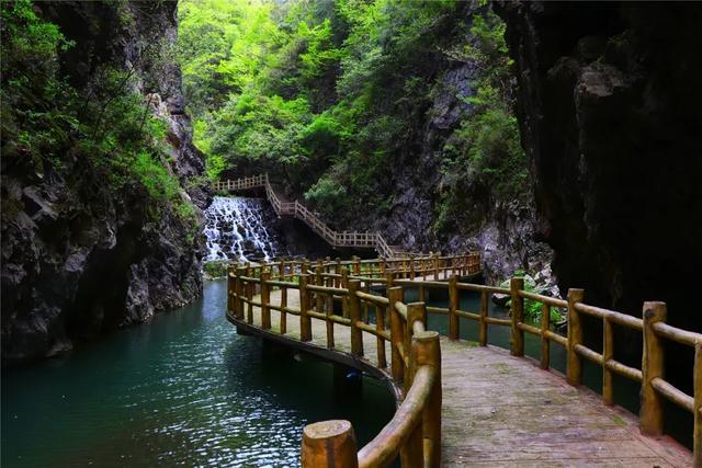 “上山下水”觅清凉，暑期襄阳文旅市场热力十足