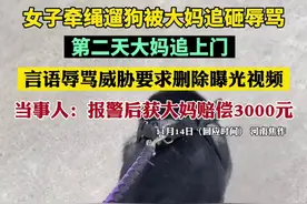 女子牵绳遛狗被大妈追砸辱骂，第二天大妈追上门言语辱骂威胁要求删除曝光视频。当事人：报警后获大妈赔偿3000元图片