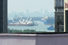 “对等关税”冲击东南亚：新加坡严厉批评，东盟将召开经济部长特别会议图片