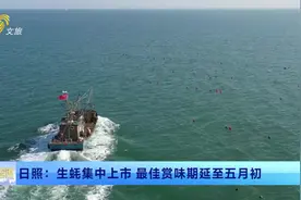 山东文旅报道 | 日照：生蚝集中上市 最佳赏味期延至五月初视频封面