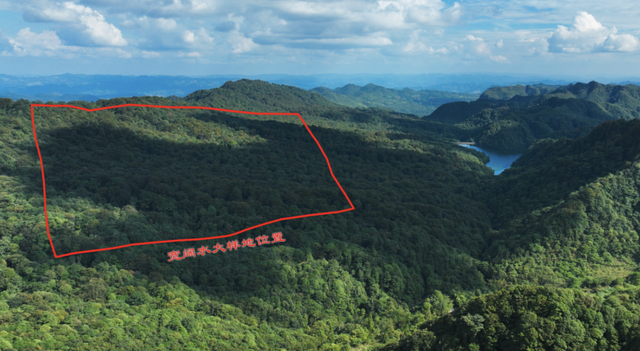 中国森林生物多样性监测网络（CForBio）专家组考察贵州大样地