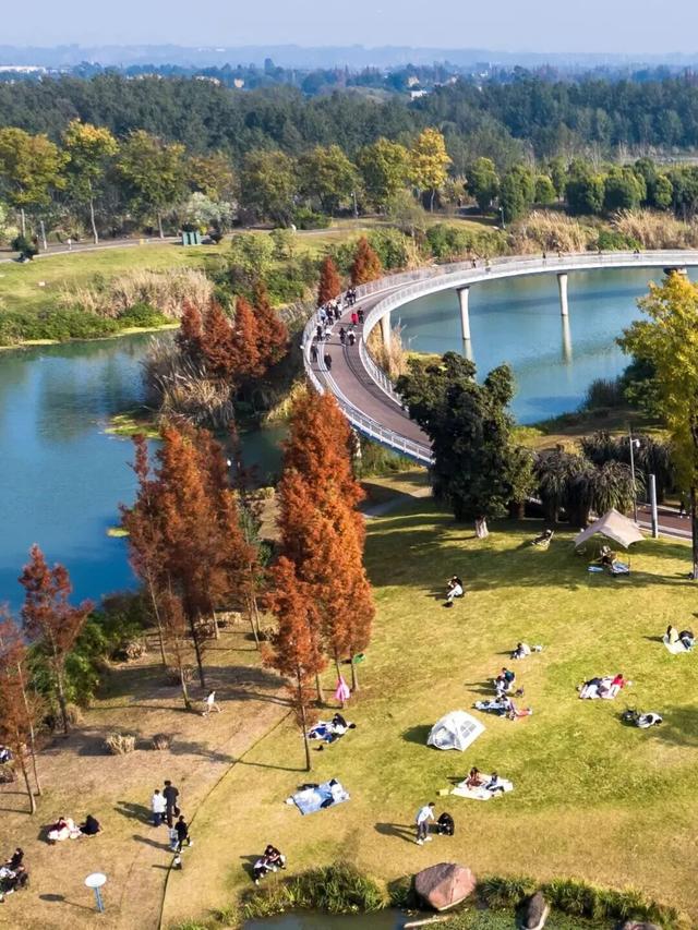 别错过，成都公园里的绝美冬景！