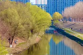 春寒杀“回马枪”！冰城21日降温有雨 #超多美图的天气预报图片