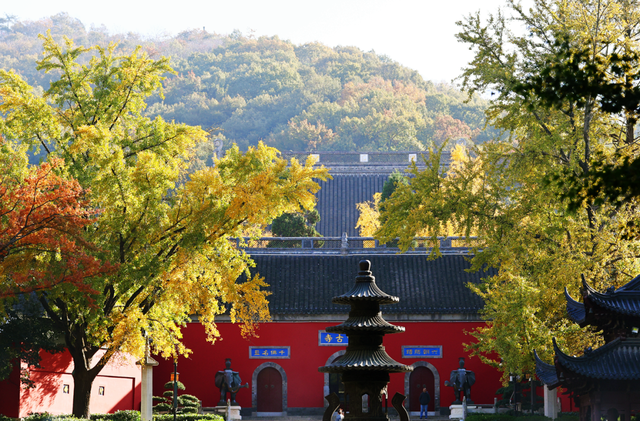 中大路 “红” 了！本周 C 位遛弯地预定！