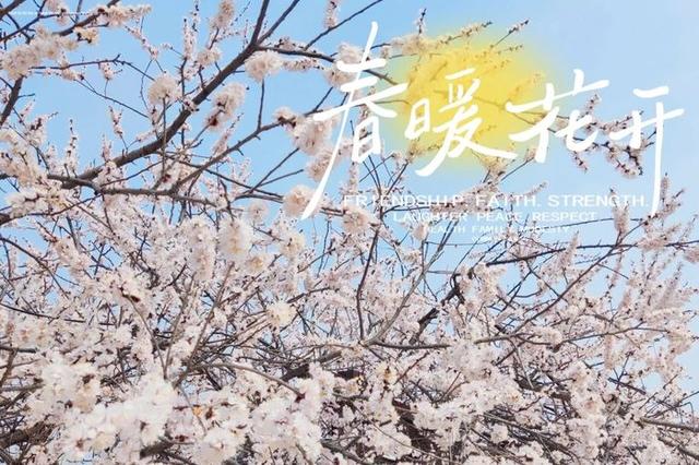 赴商河，赏花、垂钓、摘甜瓜……趣玩不重样