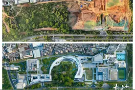 大湾区大学获批设立，首批设置5个本科专业图片