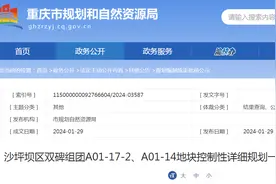 重庆市沙坪坝区双碑组团A01-17-2、A01-14地块控制性详细规划一般技术性内容修改公示图片