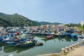 闻“风”而动！广东超8万艘渔船在港避风图片