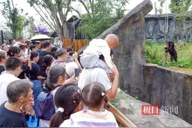 “我的家我做主”！武汉动物园黑熊成“搬运工”图片