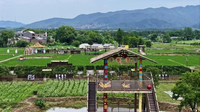 亲子时光「禾」处寻？解锁渼陂禾场亲子“隐藏款”！