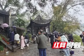 首届九疑派古琴琴学交流会暨纪念杨宗稷先生诞辰160周年活动在零陵开幕图片