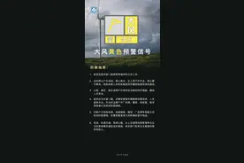 局地10级以上！郑州市气象台发布大风黄色预警信号图片