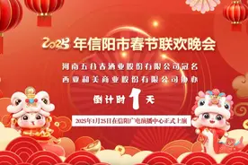 春节假期去哪玩？信阳一系列精彩活动来啦图片