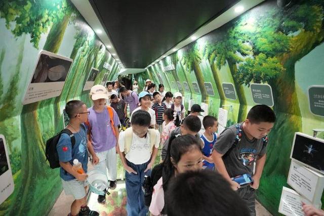 体验自然“活课堂”，韶关武江这场研学科普之旅让暑假“野”有趣！
