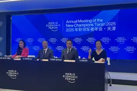 力推民营企业家参与世界经济论坛，刘强东李东生获任联席主席图片