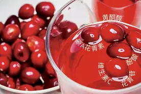 激动！第一批抚远蔓越莓明日将到达南宁图片