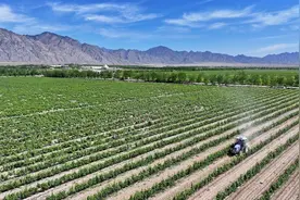 中国葡萄酒产区发展指数揭晓：宁夏领衔头部阵营，用发展证明中国正在定义新的世界级产区标准图片