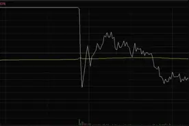 11连板超级大牛股“魔幻”的一天！换手率86％，地天板、天地板同日出现图片