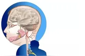 被哪些动物咬了，需要打狂犬疫苗？暴露后第一时间应该……图片