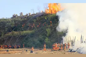 威头条丨从丹江口看湖北森林防火的创新与实践图片