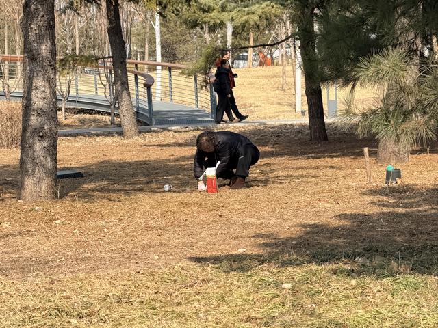 折花枝、挖野菜……丽泽这个公园踏春不要“太任性”