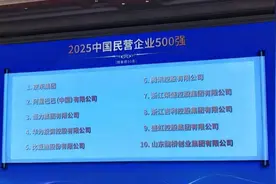 2025民企500强报告出炉，华为、腾讯、阿里研发投入居前三图片