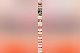 【讲习所·中国与世界】这一颗颗“大红大紫”的果果蕴含发展密码图片