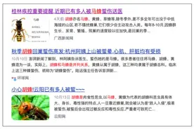 多人被叮咬不幸丧生，近期一定要远离这种昆虫→图片